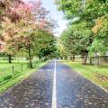 Why Edinburgh Is One of the Best Cities for Airbnb Investment